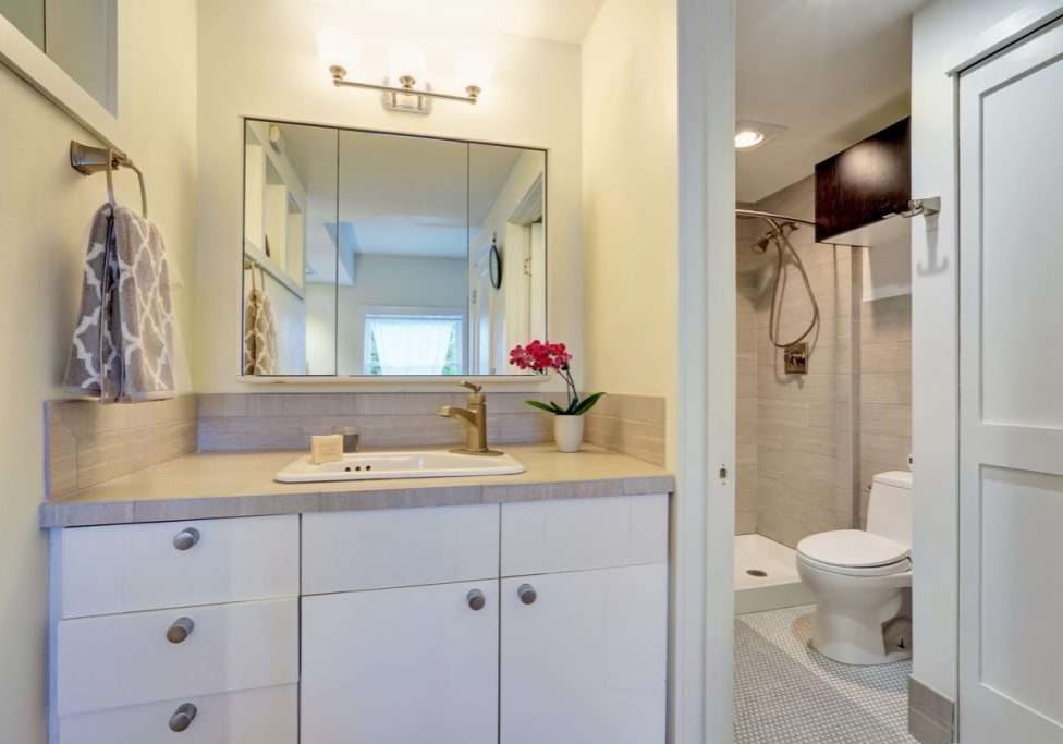 Remodeled white bathroom interior design with flower pot. 